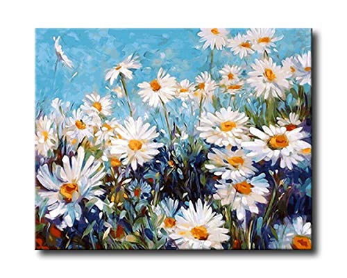 Shukqueen Malen Nach Zahlen,DIY Ölgemälde für Erwachsene,Anfänger, Kinder,Feiertagsgeschenke,16x20 Zoll(Ohne Rahmen) von Shukqueen