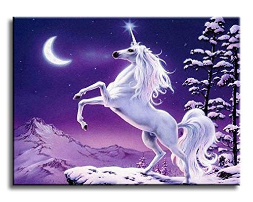 Malen nach Zahlen, DIY Ölgemälde für Erwachsene, Anfänger, Kinder, Feiertagsgeschenke, Einhorn, 16x20 Zoll (Ohne Rahmen) von Shukqueen
