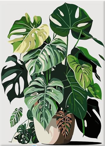 Shukqueen Malen nach Zahlen für Erwachsene, Malen-nach-Zahlen-Set für Anfänger, grüne Monstera, getopft, 40,6 x 50,8 cm (rahmenlos) von Shukqueen