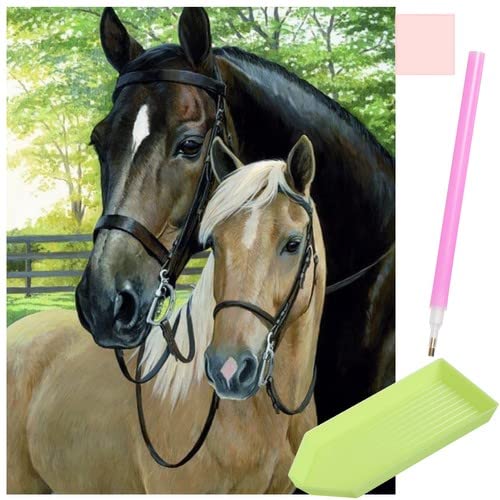 Diamond Painting Set mit Stift für Erwachsene und Kinder, 30x40 cm, runde Steine, 5D Diamond-Painting XXL 2024, Motiv: Pferde Diamond Painting Set mit Stift für Erwachsene und Kinder, 30x40 cm, runde Steine, 5D Diamond-Painting XXL 2024, Motiv: Pferde von SiaMed