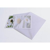 25 SIGEL Briefumschläge transparent DIN C5 ohne Fenster 25 SIGEL Briefumschläge transparent DIN C5 ohne Fenster von Sigel