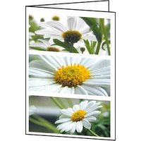 25 SIGEL Grußkarten Romance DIN A6 25 SIGEL Grußkarten Romance DIN A6 von Sigel
