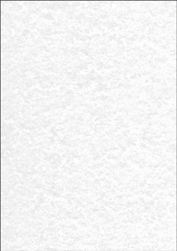SIGEL DP657 Hochwertiges Struktur-Papier / Karton Pergament grau, A4, 50 Blatt, Motiv beidseitig, 200 g, Urkundenpapier, aus nachhaltigem Papier von Sigel