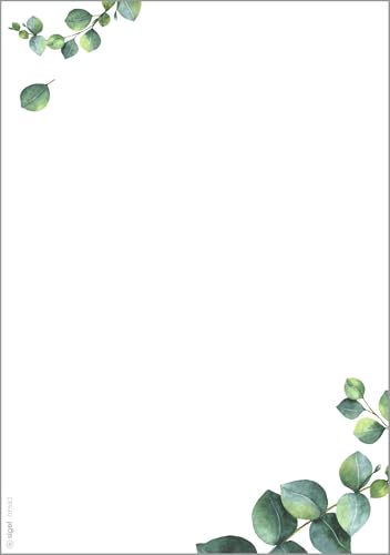 SIGEL DP682 Hochwertiges Motivpaper, Druckerpapier, Eukalyptus, grün, A5, 100 Blatt, Motiv beidseitig, 90 g/m², für Speisekarten, aus nachhaltigem Papier SIGEL DP682 Hochwertiges Motivpaper, Druckerpapier, Eukalyptus, grün, A5, 100 Blatt, Motiv beidseitig, 90 g/m², für Speisekarten, aus nachhaltigem Papier von Sigel