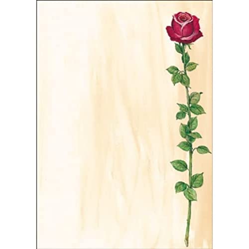 SIGEL DP695 Motiv-Papier "Rose Bloom", Briefpapier 90 g, DIN A4, 25 Blatt, aus nachhaltigem Papier von Sigel