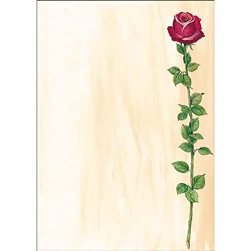 SIGEL DP695 Motiv-Papier "Rose Bloom", Briefpapier 90 g, DIN A4, 25 Blatt, aus nachhaltigem Papier SIGEL DP695 Motiv-Papier "Rose Bloom", Briefpapier 90 g, DIN A4, 25 Blatt, aus nachhaltigem Papier von Sigel