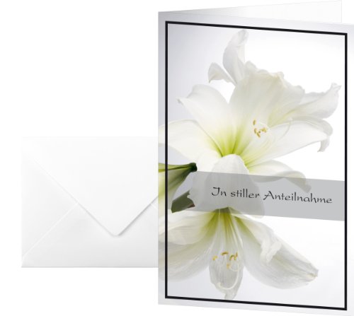 SIGEL DS006 Trauerkarten weiße Amaryllis, 10er Set mit Umschlag ohne Text, ideal zum Bedrucken, aus nachhaltigem Papier SIGEL DS006 Trauerkarten weiße Amaryllis, 10er Set mit Umschlag ohne Text, ideal zum Bedrucken, aus nachhaltigem Papier von Sigel