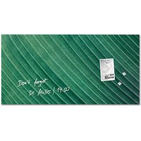 SIGEL Glas-Magnettafel artverum® 91,0 x 46,0 cm Design Palm Leaf matt von Sigel