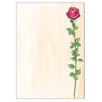 SIGEL Motivpapier Rose Bloom Motiv DIN A4 90 g/qm 25 Blatt von Sigel