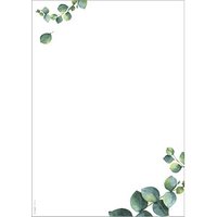 SIGEL Motivpapier weiß/grün DIN A4 90 g/m² 100 Blatt SIGEL Motivpapier weiß/grün DIN A4 90 g/m² 100 Blatt von Sigel