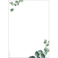 SIGEL Motivpapier weiß,grün DIN A5 90 g/m² 100 Blatt SIGEL Motivpapier weiß,grün DIN A5 90 g/m² 100 Blatt von Sigel