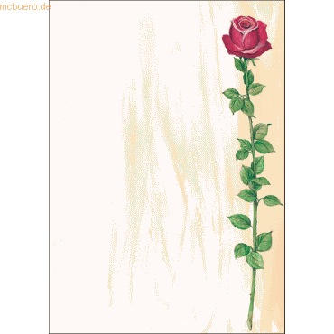 Sigel Designpapier Rose Bloom A4 90g/qm VE=25 Blatt von Sigel