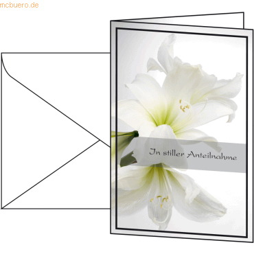 Sigel Faltkarte Amaryllis 115x170mm 220g/qm VE=10 Stück incl. Umschläg Sigel Faltkarte Amaryllis 115x170mm 220g/qm VE=10 Stück incl. Umschläg von Sigel