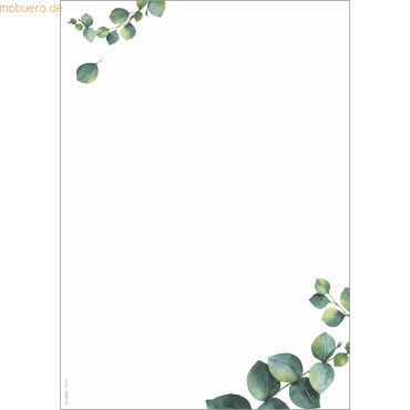 Sigel Motiv-Papier A4 90g Eucalyptus 100 Blatt Sigel Motiv-Papier A4 90g Eucalyptus 100 Blatt von Sigel