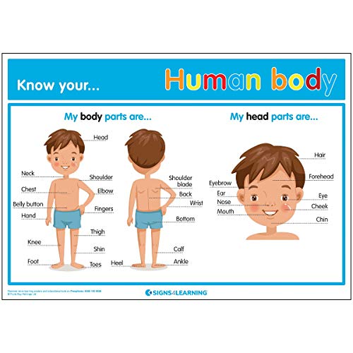 Signs 4 Lernposter, Nylon/A, A2 (420 x 594 mm) von Signs 4 Learning know