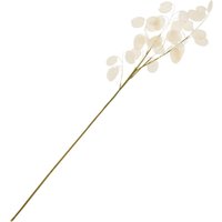 Lunaria Zweig von Silber