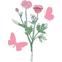Sizzix Framelits Stanzschablone und Clear Stamps "Painted Pencil Botanical" Sizzix Framelits Stanzschablone und Clear Stamps "Painted Pencil Botanical" von Sizzix