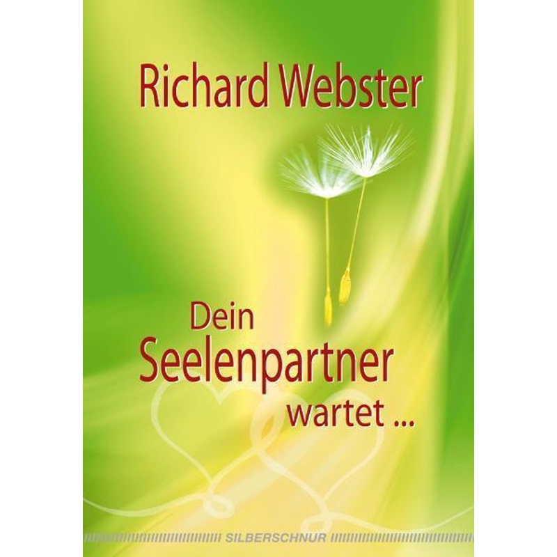 Dein Seelenpartner Wartet . . . - Richard Webster, Kartoniert (TB) von Silberschnur