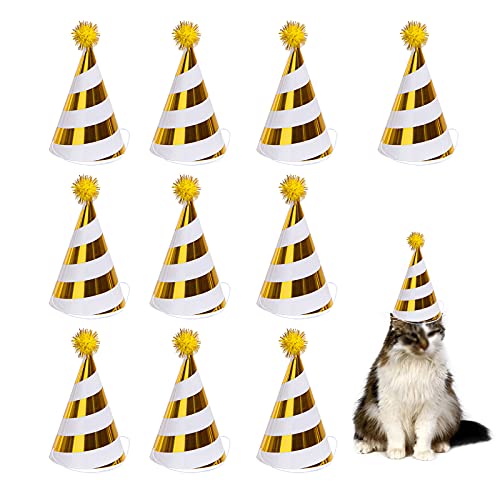 10Pcs Geburtstagsfeier Dekoration HüTe Geburtstag Party Baby Dusche Foto Requisiten SchöNe Kegel Geburtstag Papier HüTe FüR PartyhüTe Geburtstag Festival Party Geburtstag Party Feier Dekoration Golden 10Pcs Geburtstagsfeier Dekoration HüTe Geburtstag Party Baby Dusche Foto Requisiten SchöNe Kegel Geburtstag Papier HüTe FüR PartyhüTe Geburtstag Festival Party Geburtstag Party Feier Dekoration Golden von Silent
