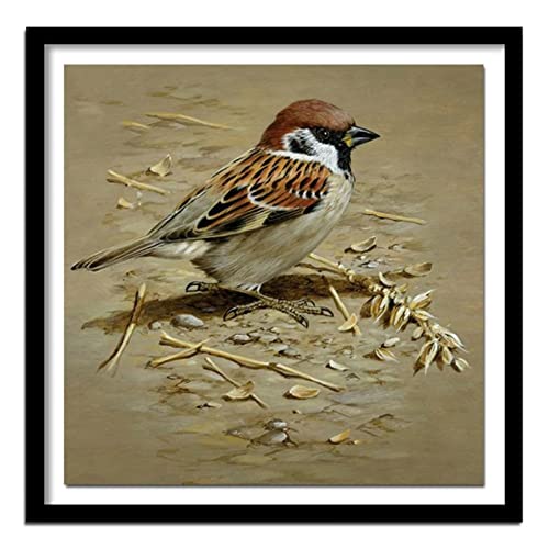 5D Diamant Painting Bilder Full Groß Spatz DIY Erwachsene und Anfänger Volle Bohrer Diamond Painting Kits, Diamant Malerei Nach Anzahl Kits,Büro Home Dekoration 30x40cm/12x16inch Square drill 5D Diamant Painting Bilder Full Groß Spatz DIY Erwachsene und Anfänger Volle Bohrer Diamond Painting Kits, Diamant Malerei Nach Anzahl Kits,Büro Home Dekoration 30x40cm/12x16inch Square drill von SilkyShy