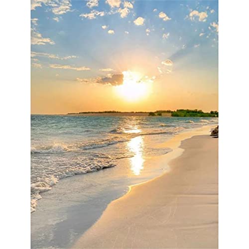 5D Diamant Painting Bilder Full Groß Strand DIY Erwachsene und Anfänger Volle Bohrer Diamond Painting Kits, Diamant Malerei Nach Anzahl Kits,Büro Home Dekoration 50x70cm/20x28inch Round drill 5D Diamant Painting Bilder Full Groß Strand DIY Erwachsene und Anfänger Volle Bohrer Diamond Painting Kits, Diamant Malerei Nach Anzahl Kits,Büro Home Dekoration 50x70cm/20x28inch Round drill von SilkyShy