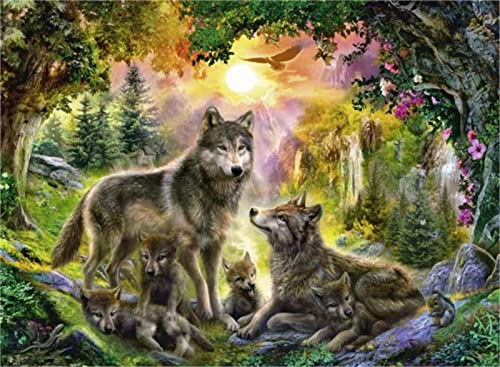 5D Diamant Painting Bilder Full Groß Wolf-Tier-Landschaft DIY Erwachsene und Anfänger Volle Bohrer Diamond Painting Kits, Diamant Malerei Nach Anzahl Kits,Büro Home Dekoration 40x50cm/16x20inch Round von SilkyShy