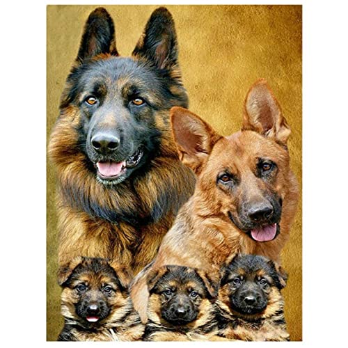 DIY 5D Diamant Malerei Kit Deutscher Schäferhund Diamond Painting Bilder Vollbohrer Diamant Gemälde Malen Nach Zahlen Diamant Stickerei Wall/Eingang/Büro Dekorationen Geschenk 30x40cm/12x16inch Round DIY 5D Diamant Malerei Kit Deutscher Schäferhund Diamond Painting Bilder Vollbohrer Diamant Gemälde Malen Nach Zahlen Diamant Stickerei Wall/Eingang/Büro Dekorationen Geschenk 30x40cm/12x16inch Round von SilkyShy