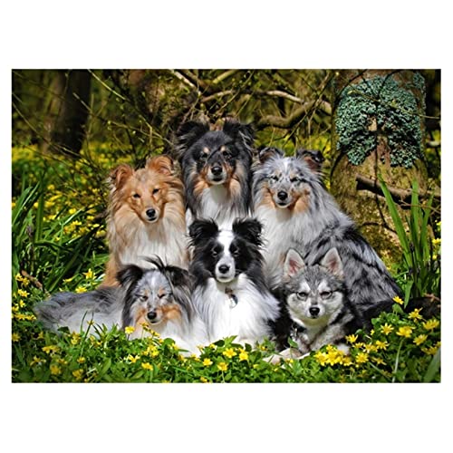 DIY 5D Diamant Malerei Kit Schäferhund Sheltie Diamond Painting Bilder Vollbohrer Diamant Gemälde Malen Nach Zahlen Diamant Stickerei Wall/Eingang/Büro Dekorationen Geschenk 25x30cm/10x12inch Round DIY 5D Diamant Malerei Kit Schäferhund Sheltie Diamond Painting Bilder Vollbohrer Diamant Gemälde Malen Nach Zahlen Diamant Stickerei Wall/Eingang/Büro Dekorationen Geschenk 25x30cm/10x12inch Round von SilkyShy