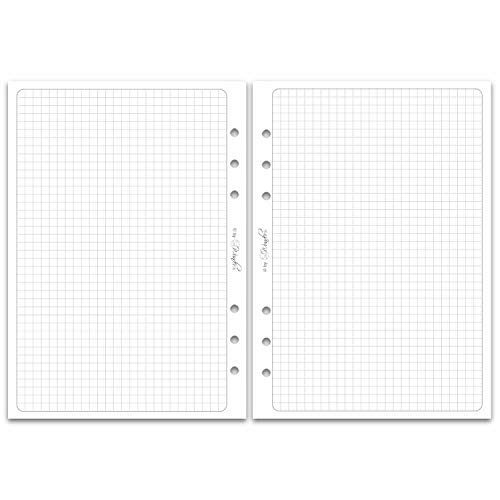 SinnWunder® 50 Blatt Din A5 (14,8 x 21 cm) Premium Notiz-Papier kariert - Für 6-Ringplaner von SinnWunder