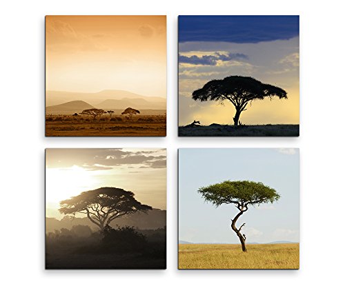 Sinus Art 4 Bilder Set je 40x40cm Akazienbaum Afrika Wüste von Sinus Art