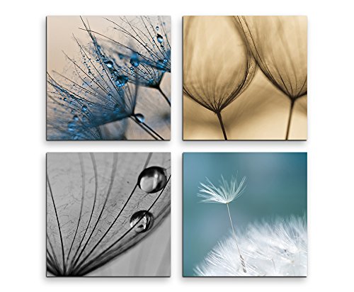 Sinus Art 4 Bilder Set je 40x40cm Blume Wassertropfen Natur Sinus Art 4 Bilder Set je 40x40cm Blume Wassertropfen Natur von Sinus Art
