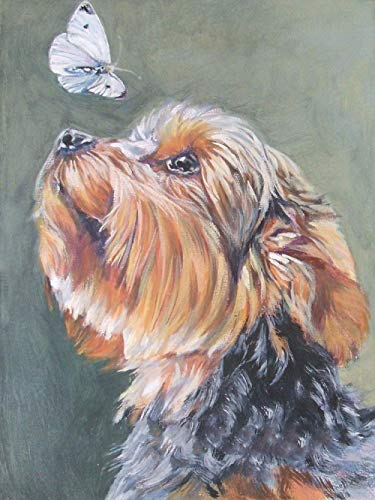 DIY 5D Diamantmalerei nach Anzahl Kits Niedlicher Yorkshire Terrier und Schmetterling Runde Vollbohrer Diamantmalerei Kits Perfekte Kunsthandwerk für Zuhause Wanddekoration Diamond Painting 40×50 cm von Siyse