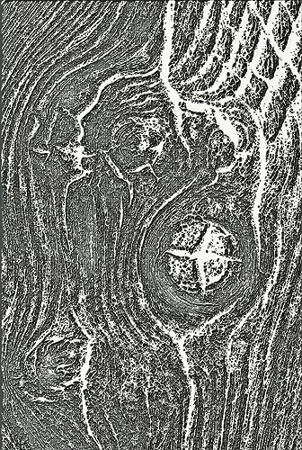 Sizzix 3-D Texture Fades Prägemappe Woodgrain von Tim Holtz | 666297 | Scrapbooking, Kartenherstellung, Journaling, Holzmaserung, One Size Sizzix 3-D Texture Fades Prägemappe Woodgrain von Tim Holtz | 666297 | Scrapbooking, Kartenherstellung, Journaling, Holzmaserung, One Size von Sizzix