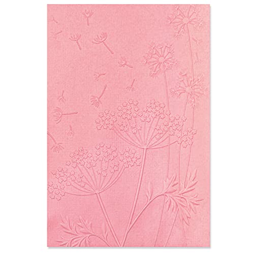 Sizzix Embossing Folder by Chapter Sizzx 3-D Textured Impressions Prägeschablone Summer Wishes von Kath Breen | 665763 | Kapitel 3 2022, PP-Kunststoff, Multicolour, One Size Sizzix Embossing Folder by Chapter Sizzx 3-D Textured Impressions Prägeschablone Summer Wishes von Kath Breen | 665763 | Kapitel 3 2022, PP-Kunststoff, Multicolour, One Size von Sizzix