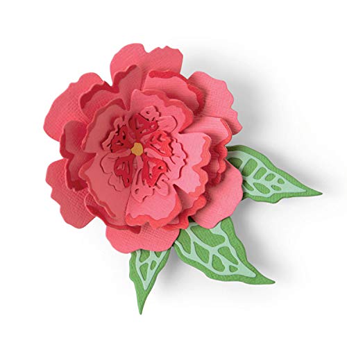 Sizzix Thinlits Stanzformen-Set, 10 Stück, Pop-Up-Blume von Jessica Scott, 665188, Papier Kunststoff, Mehrfarbig, Einheitsgröße Sizzix Thinlits Stanzformen-Set, 10 Stück, Pop-Up-Blume von Jessica Scott, 665188, Papier Kunststoff, Mehrfarbig, Einheitsgröße von Sizzix