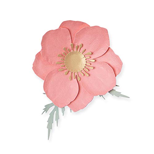 Sizzix Thinlits Stanzschablone 665081 Isländischer Mohn von Olivia Rose 3er Pack Cutting Dies, Kunststoff, Multicolore, Einheitsgröße Sizzix Thinlits Stanzschablone 665081 Isländischer Mohn von Olivia Rose 3er Pack Cutting Dies, Kunststoff, Multicolore, Einheitsgröße von Sizzix