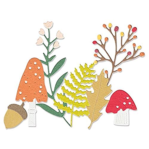 Sizzix Thinlits Stanzschablonen 11PK Winter Nature von Olivia Rose, 665489, Kohlenstoffstahl, Multicolor, One Size Sizzix Thinlits Stanzschablonen 11PK Winter Nature von Olivia Rose, 665489, Kohlenstoffstahl, Multicolor, One Size von Sizzix