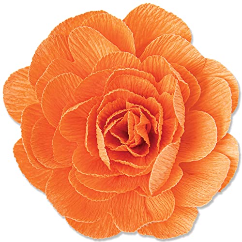 Sizzix Thinlits Stanzschablonen 3Pk Pom Flower von Olivia Rose | 666022 | Kapitel 4 2022 Wafer, Kunststoff, Grey, One Size Sizzix Thinlits Stanzschablonen 3Pk Pom Flower von Olivia Rose | 666022 | Kapitel 4 2022 Wafer, Kunststoff, Grey, One Size von Sizzix