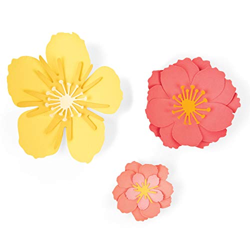 Thinlits Stanzschablonen 7 Stk 664443, Floral, Blüte von Jen Long Thinlits Stanzschablonen 7 Stk 664443, Floral, Blüte von Jen Long von Sizzix