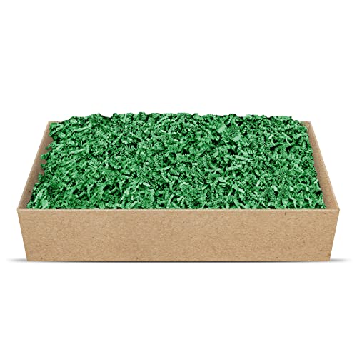 SizzlePak Geschenkfüllmaterial Umweltfreundliches Geschenkverpackungsmaterial viele Farben 125g-1kg (Green, 500g) von SizzlePak