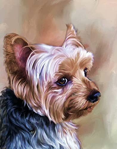 Sjawnv DIY Malen nach Zahlen Yorkshire-Terrier für Erwachsene Kinder Anfänger Malen nach Zahlen Kits auf Leinwand 40x50cm Kein Rahmen von Sjawnv