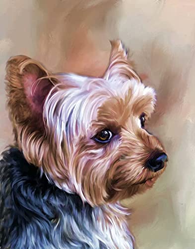 Sjawnv DIY Malen nach Zahlen Yorkshire-Terrier für Erwachsene Kinder Anfänger Malen nach Zahlen Kits auf Leinwand 40x50cm Kein Rahmen von Sjawnv