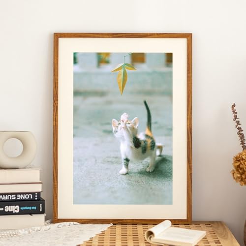 Skcess A3 Photo Frame Holz, Rechteck Doppelte Öffnung, Faltbar Braun Bilderrahmen 29.72X41.91cm Wand Picture Frame für Fotos, Bilder, Poster Vertikal Anzeige Skcess A3 Photo Frame Holz, Rechteck Doppelte Öffnung, Faltbar Braun Bilderrahmen 29.72X41.91cm Wand Picture Frame für Fotos, Bilder, Poster Vertikal Anzeige von Skcess