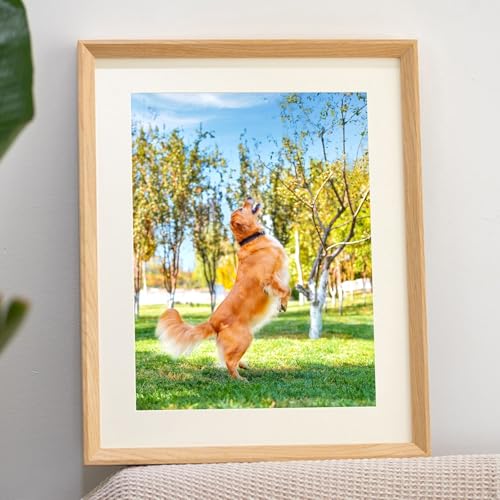Skcess A4 Picture Frame Holz, Rechteck Doppelte Öffnung, Faltbar Helles Holz Bilderrahmen 21.08X29.72cm Wand Picture Frame für Fotos Vertikal Anzeige Skcess A4 Picture Frame Holz, Rechteck Doppelte Öffnung, Faltbar Helles Holz Bilderrahmen 21.08X29.72cm Wand Picture Frame für Fotos Vertikal Anzeige von Skcess