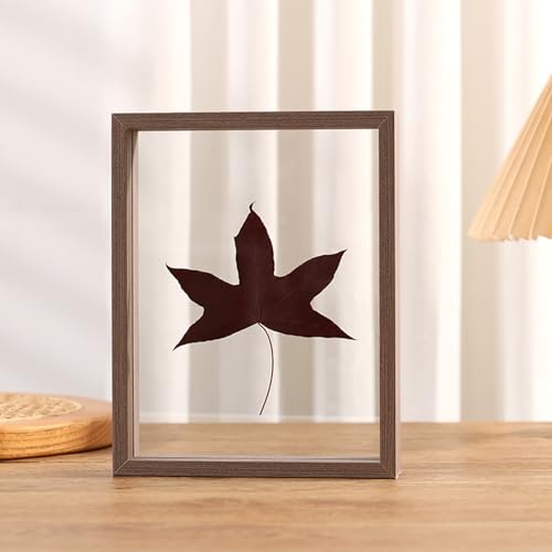 Skcess Photo Frames Holz & Glas, Rechteck Rankenform Walnuss Bilderrahmen 20.32X25.4cm Tischplatte Picture Frame für Fotos, Bilder, Poster Vertikal Anzeige Skcess Photo Frames Holz & Glas, Rechteck Rankenform Walnuss Bilderrahmen 20.32X25.4cm Tischplatte Picture Frame für Fotos, Bilder, Poster Vertikal Anzeige von Skcess