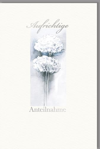 Skorpion Kondolenzkarte Beileidskarte A4 Doppelkarte mit weißen Blumen und Schriftzug Aufrichtige Anteilnahme auf hochwertigem Papier mit Umschlag Skorpion Kondolenzkarte Beileidskarte A4 Doppelkarte mit weißen Blumen und Schriftzug Aufrichtige Anteilnahme auf hochwertigem Papier mit Umschlag von Skorpion