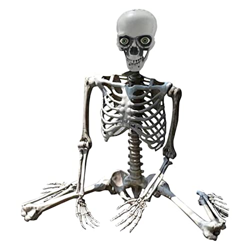 Halloween- Requisiten-Deko Halloween- lebensgroß Ganzkörper bewegliche Gelenke Skelette Mensch in voller Größe Hand Leben Körper Anatomie Modell Halloween-Dekorationen im Freien (C, One Size) von SkotO
