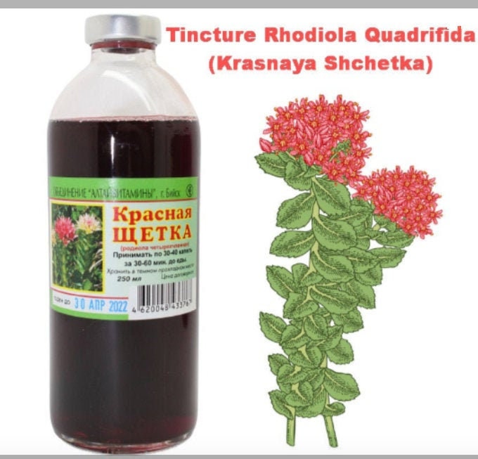 Tinktur Rhodiola Quadrifida 250Ml | Krasnaya Shchetka Ролиола Красная Оетка von SlimAndHealthyBody