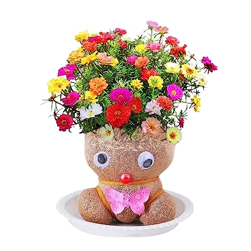 Sloane Puppenkopf Überpflanzung - Mini-Bonsai-Töpfe-Tablett für den Schreibtisch - Desktop-Schlafzimmerdekoration mit grünen Pflanzen, kreative, auffällige Möglichkeit, Ihre Grünpflanzen zu Sloane Puppenkopf Überpflanzung - Mini-Bonsai-Töpfe-Tablett für den Schreibtisch - Desktop-Schlafzimmerdekoration mit grünen Pflanzen, kreative, auffällige Möglichkeit, Ihre Grünpflanzen zu von Sloane