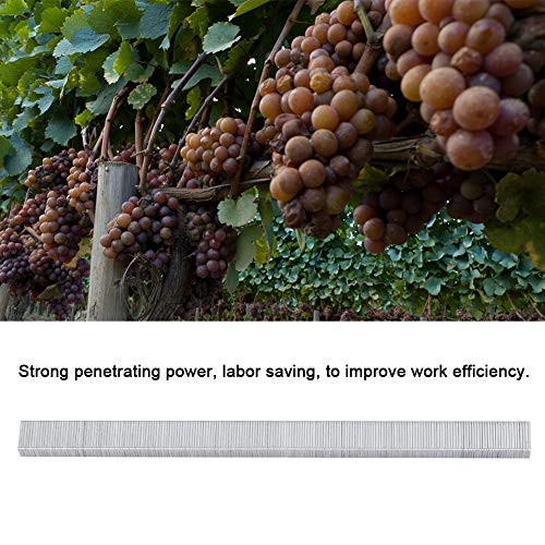 Smandy 10000pcs Pflanzenkapetool Staples Tomaten Weinbindemittel Nägel mit Gartenbindungsnägeln für Trauben Himbeeren Tomaten und Vining -Gemüse, Starke Penetration und Stütze für Pflanzen von Smandy